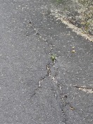 Foto: Straßenbelag defekt 